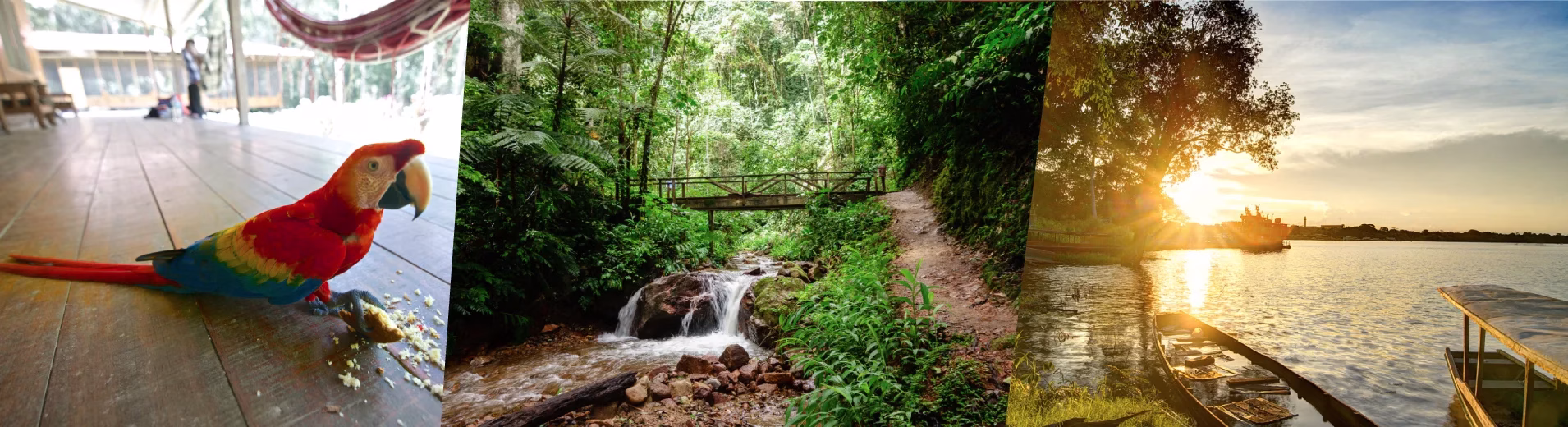 Amazon Expeditions in Peru