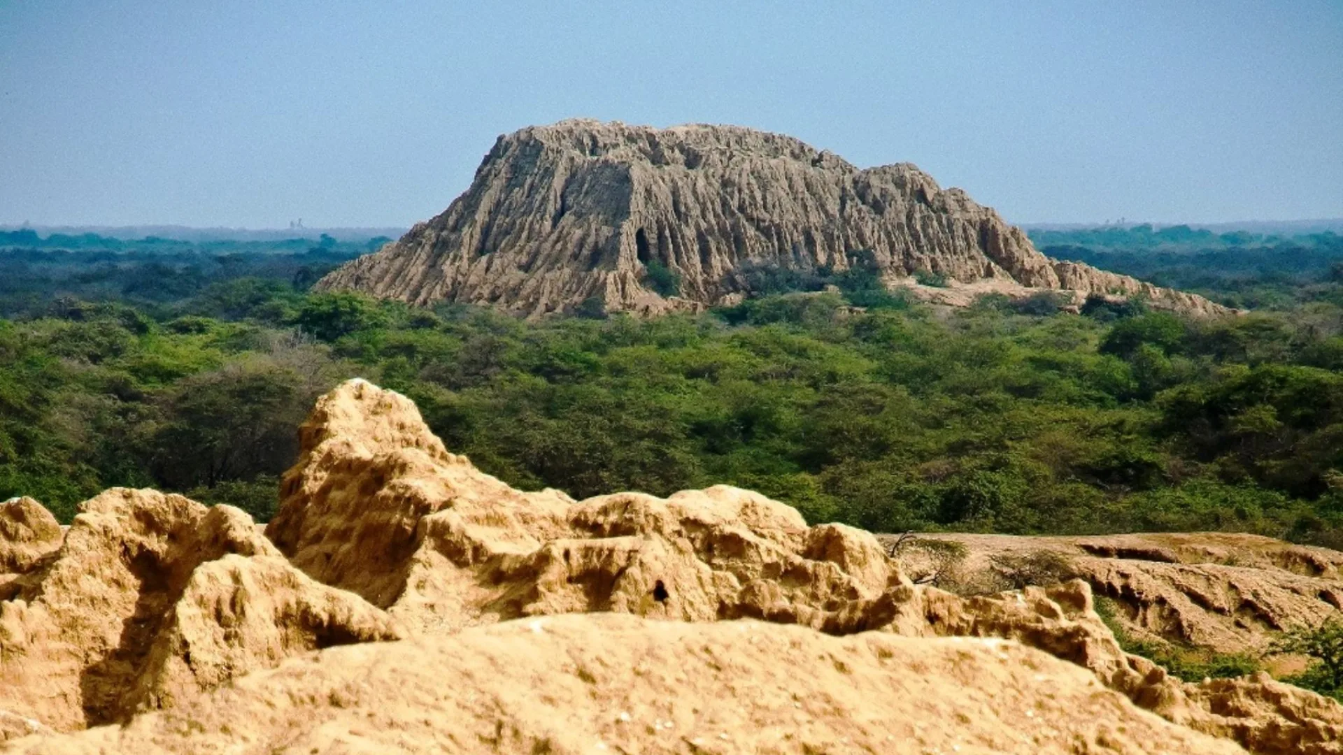 Bosque de Pómac Historic Sanctuary