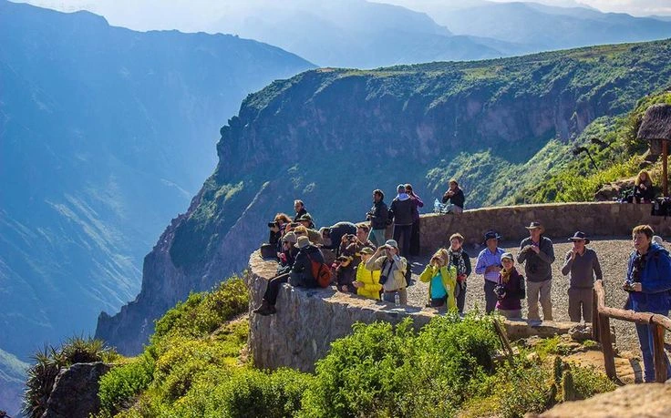 cañon de colca arequipa