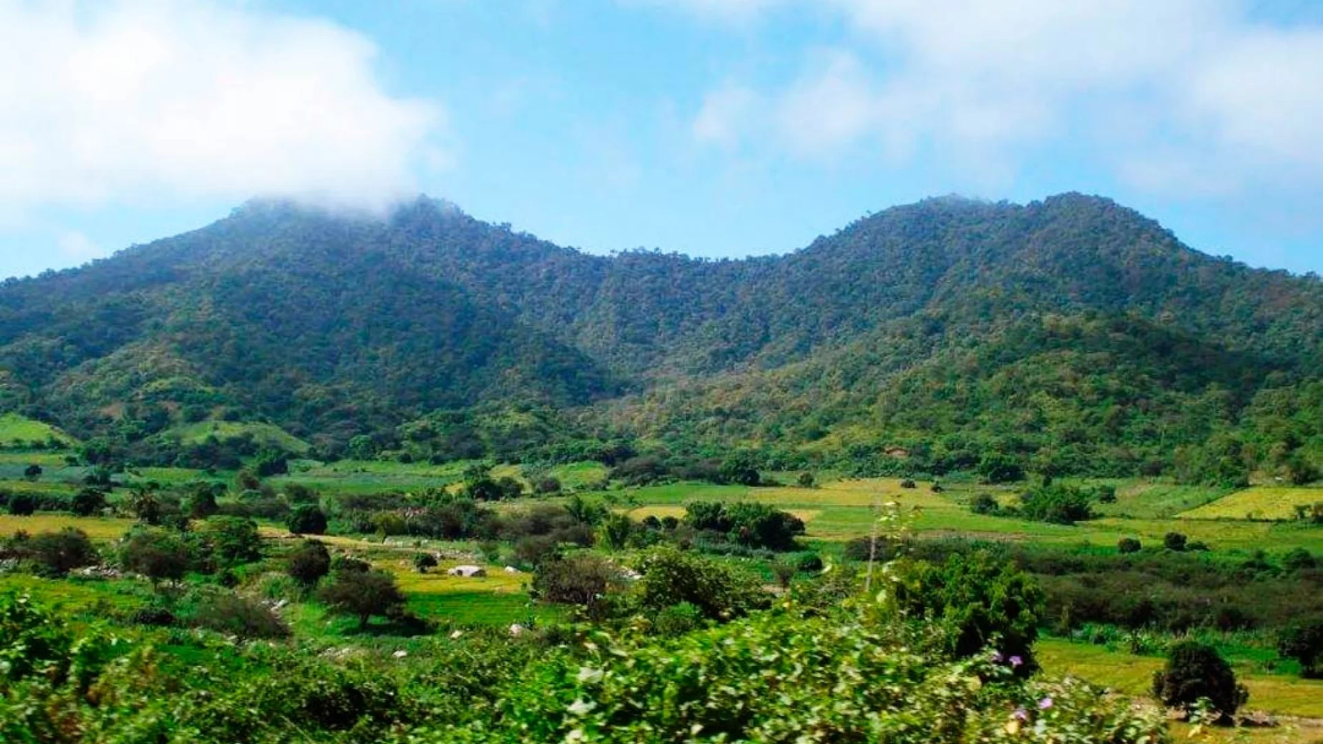 Cerros de Amotape National Park