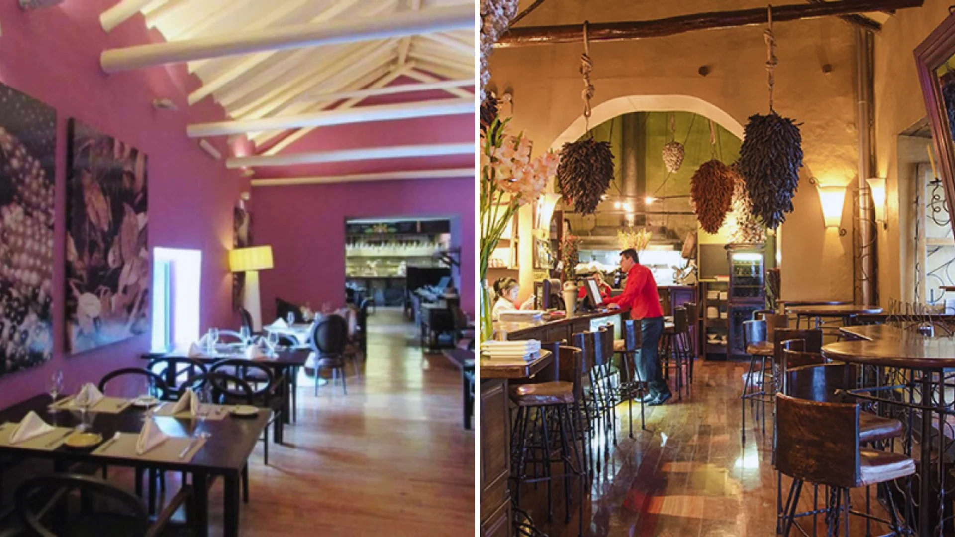 Chicha Cusco-Cicciolina Cusco