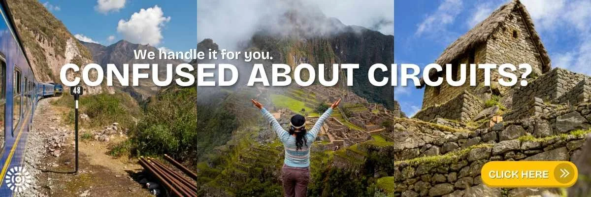 Confused about Circuits_ We handle it for you