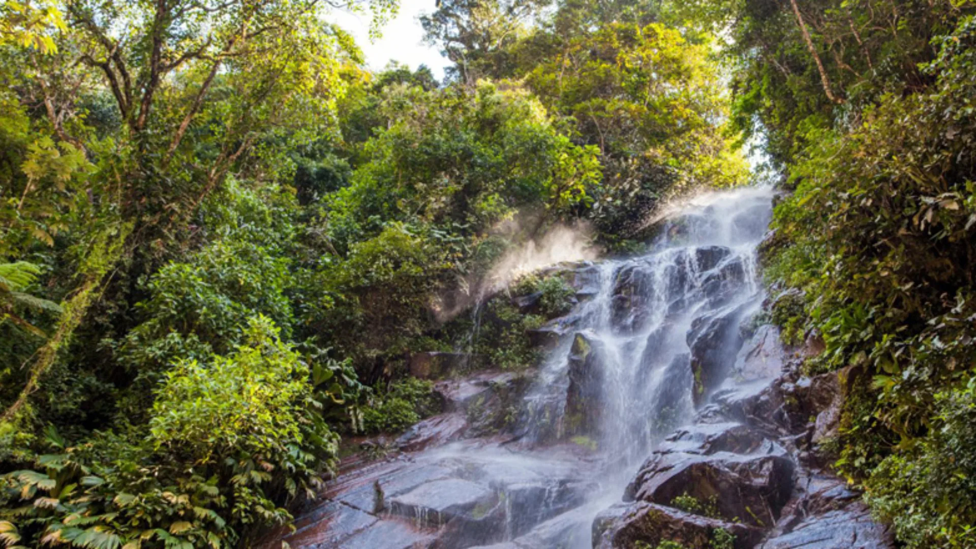 Cordillera Azul National Park