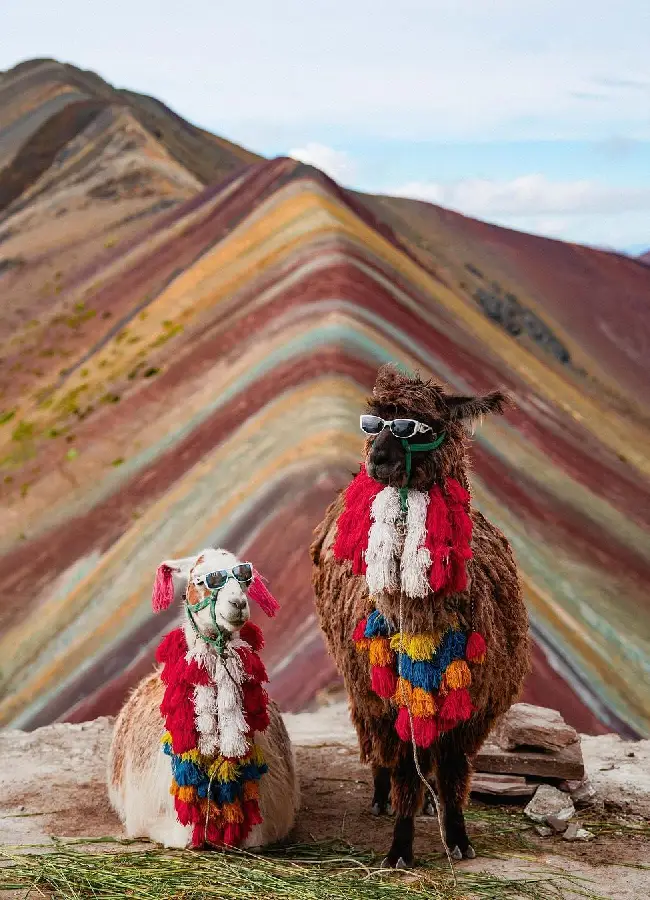 Cusco day