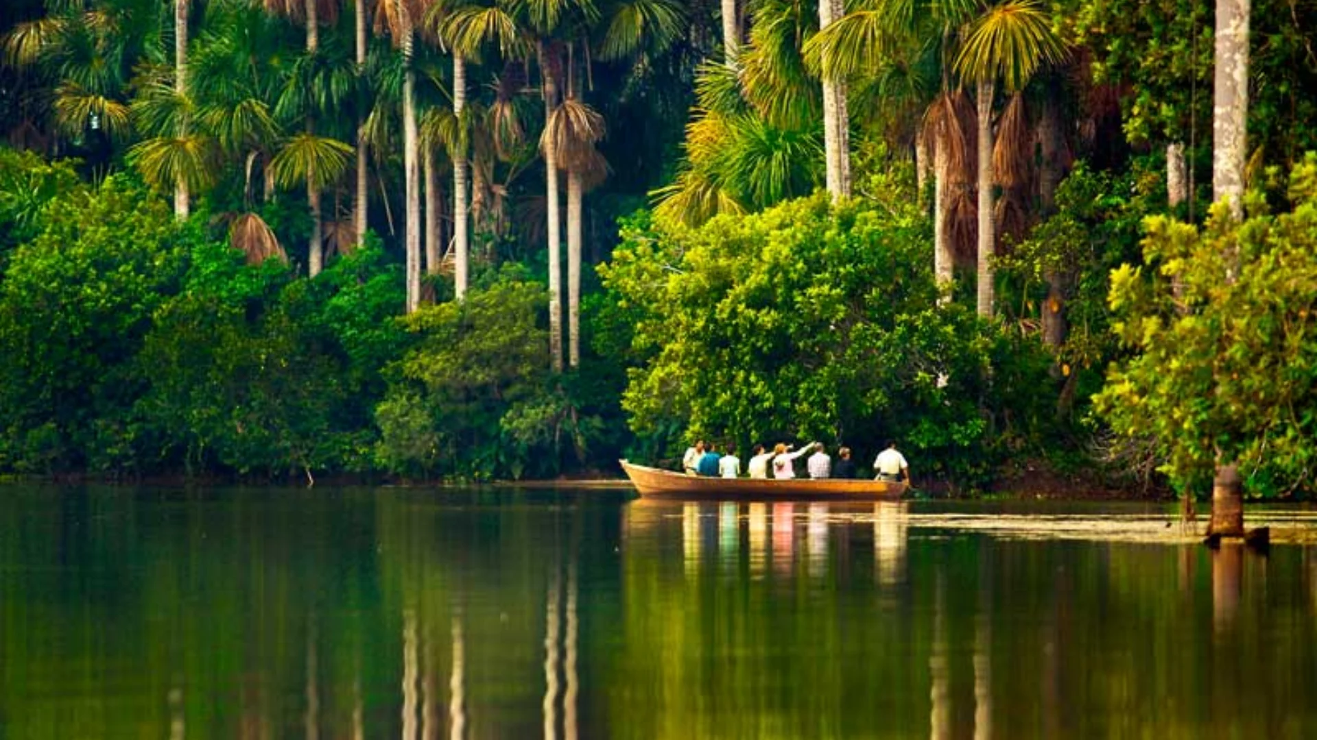 Dia Internacional del Árbol