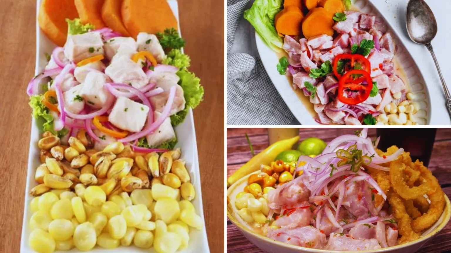 Diferentes tipos de ceviche