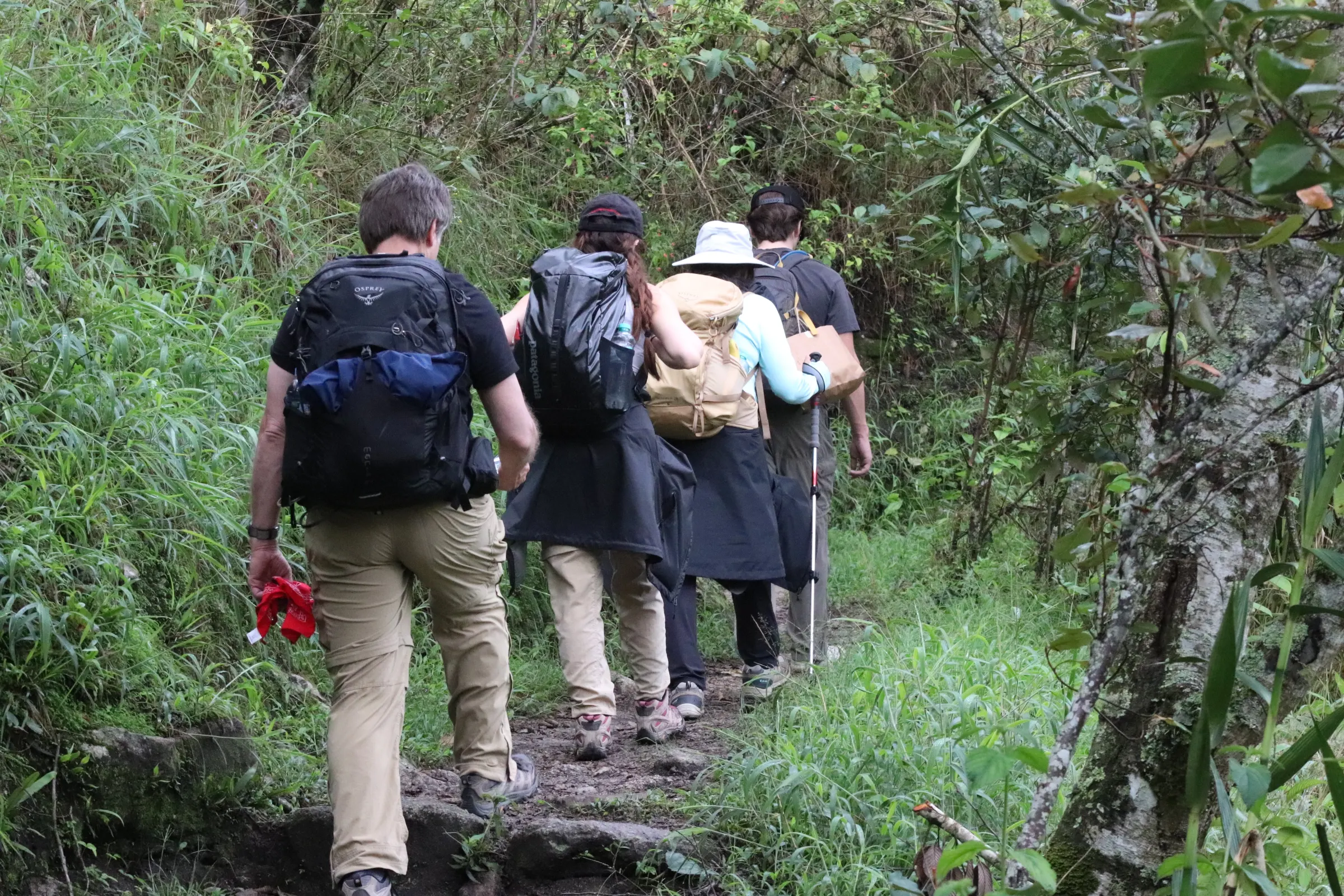 Hiking Through the Inca Trail Forest