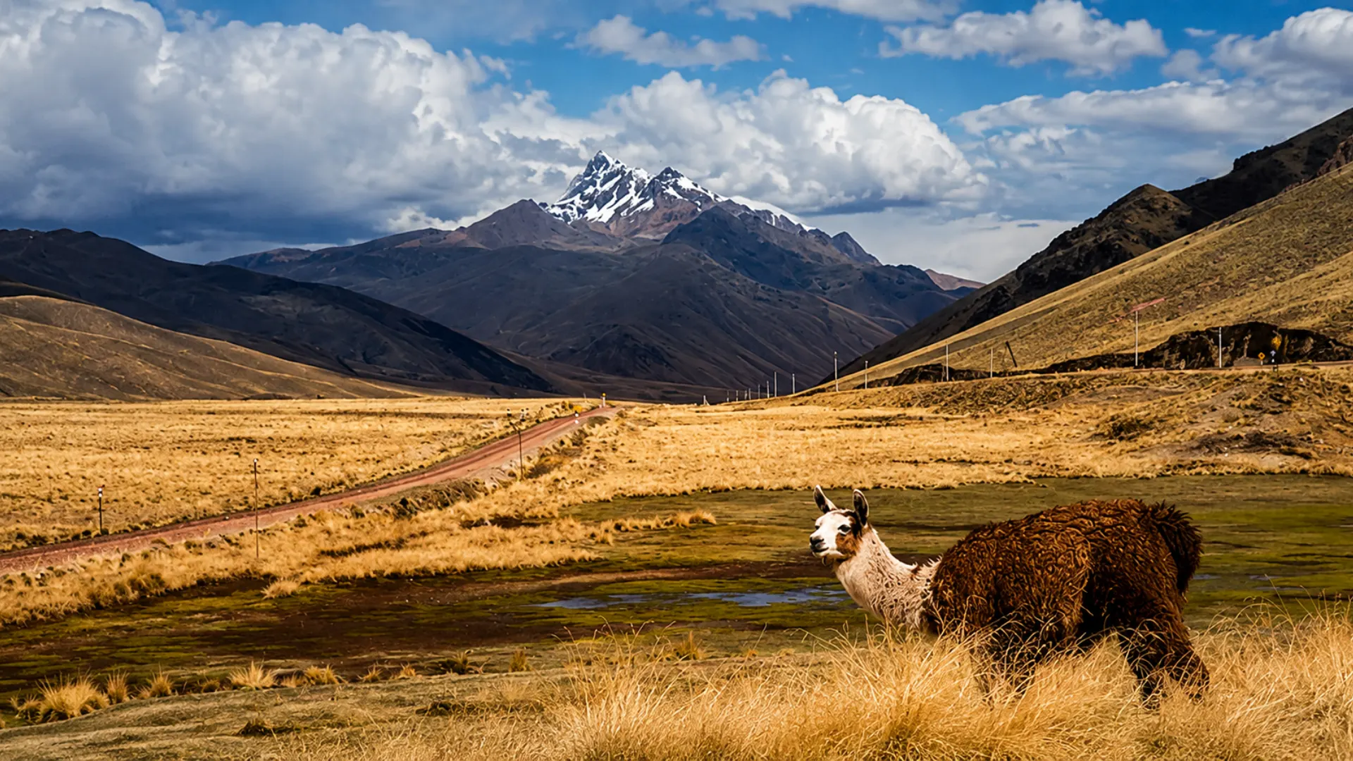 La Raya Pass between Cusco and Puno Peru