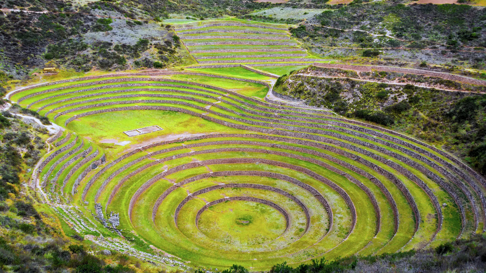 Maras moray