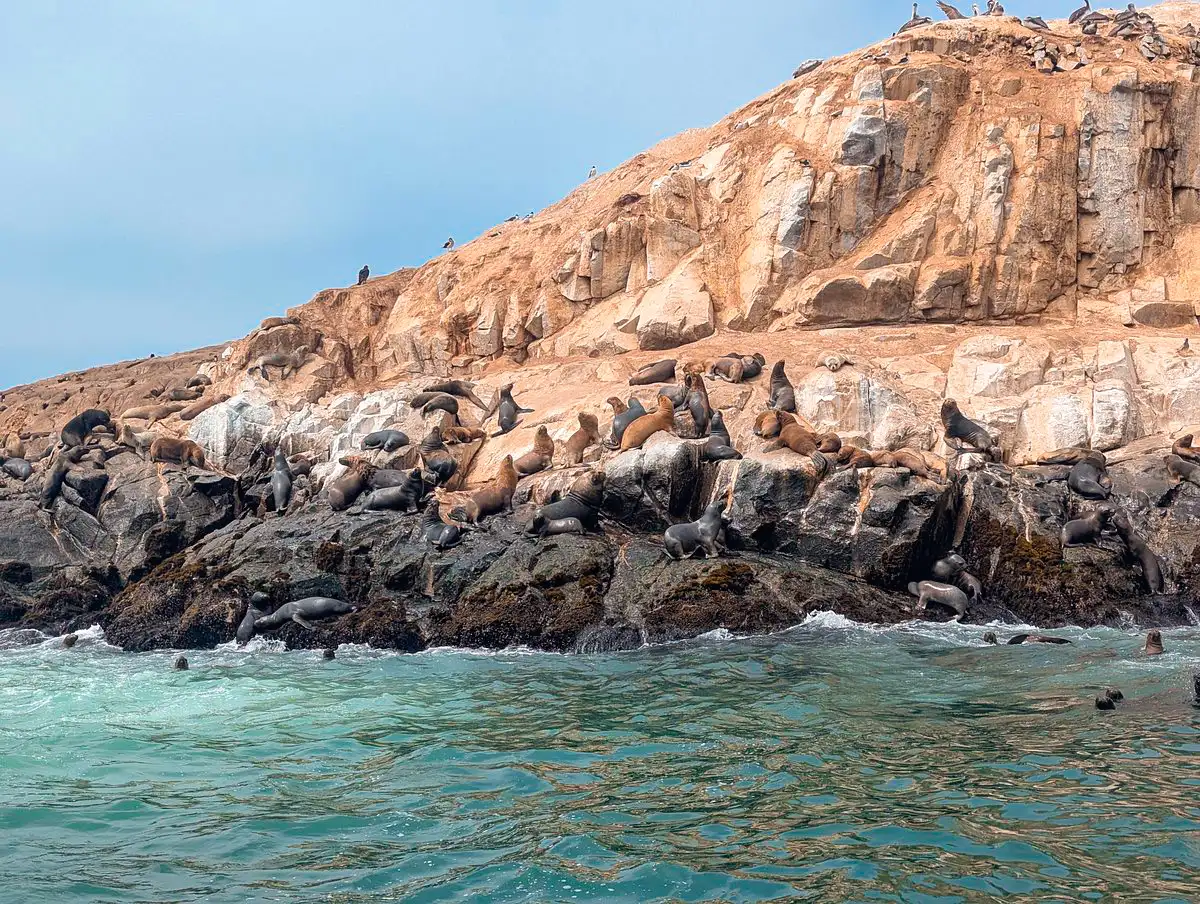 Paracas National Reserve