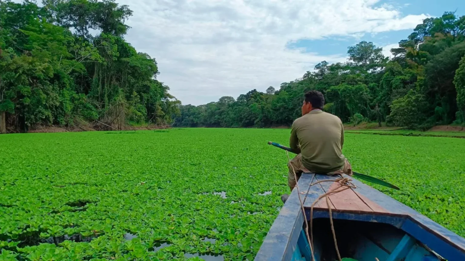 Reserva Nacional Pacaya Samiria