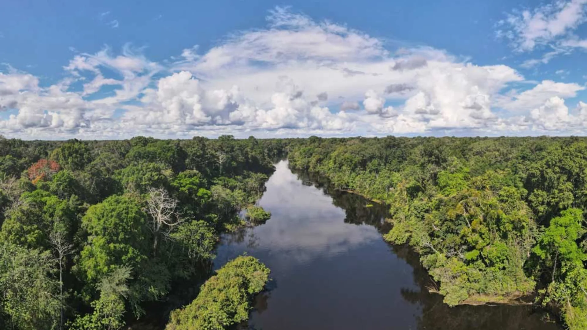 Reserva Nacional Pacaya Samiria