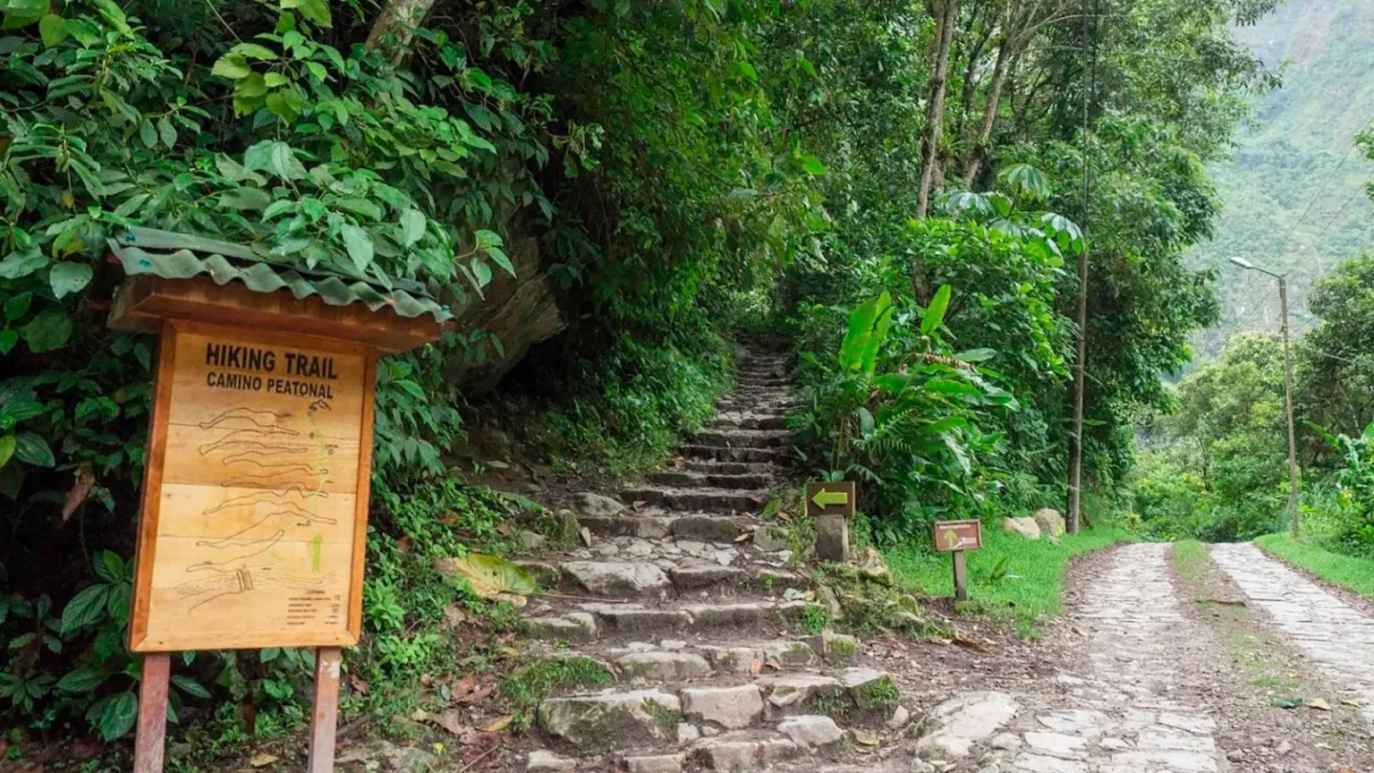 SENDERO DE CAMINO PEATONAL PARA LLEGAR A MACHUPICCHU
