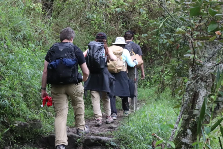 Senderismo por el bosque del Camino Inca