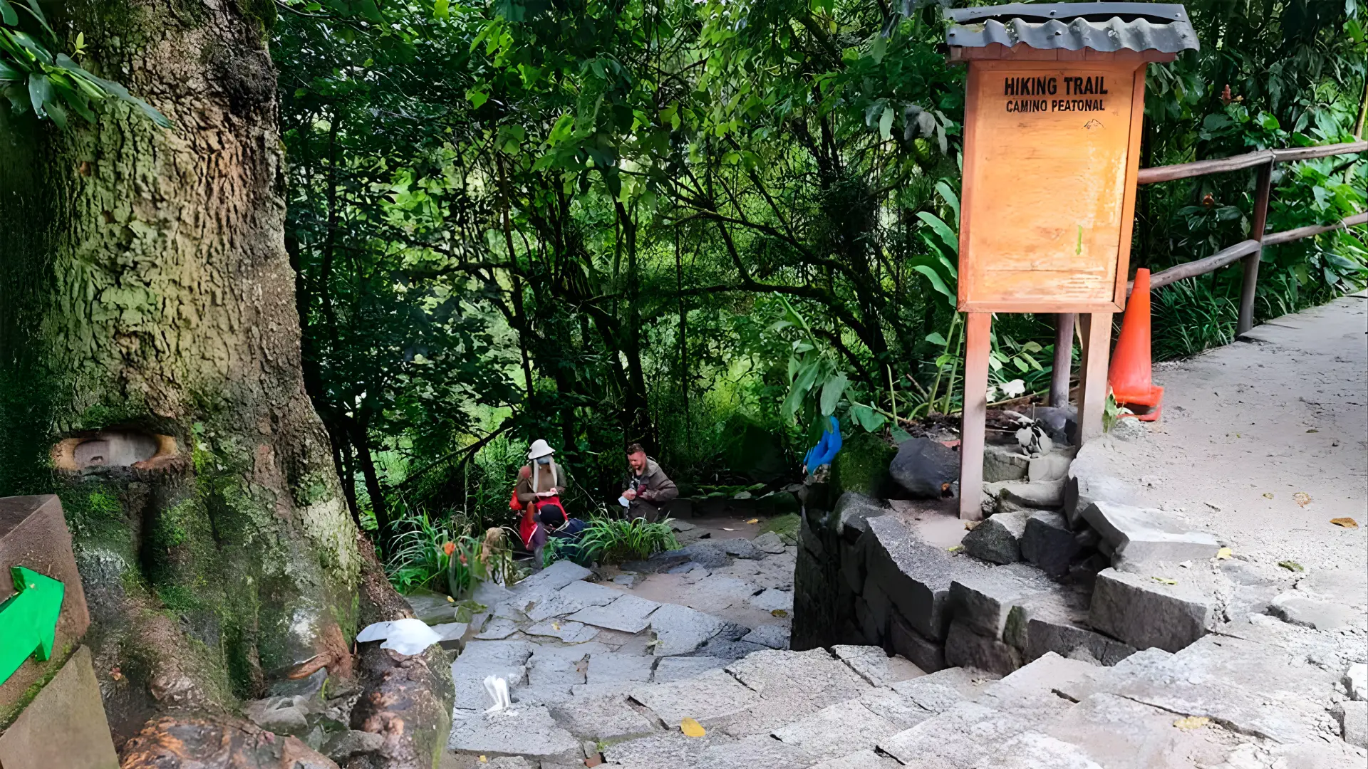 Walk back from Machu Picchu to Aguas Calientes