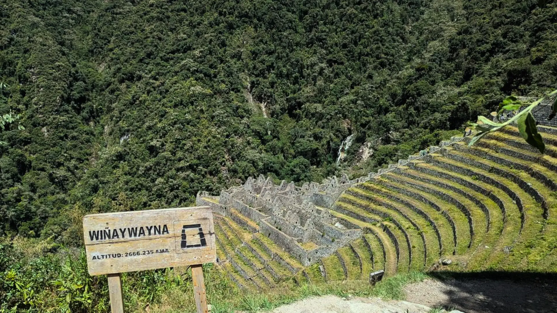 Wiñay Wayna