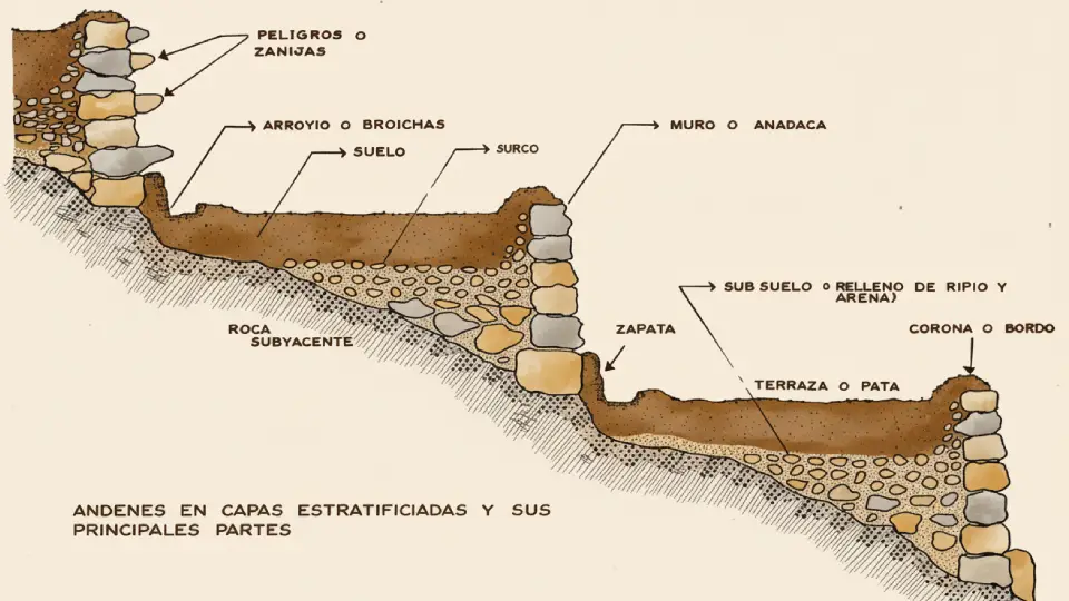 estructura de la construcción y composición de andenes incas para el uso agrícola