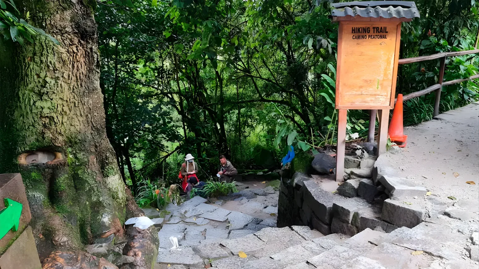 bajada de Machu picchu a Aguas calientes