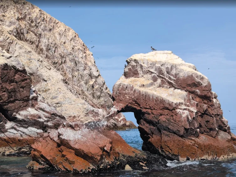ballestas-islands-private-tour
