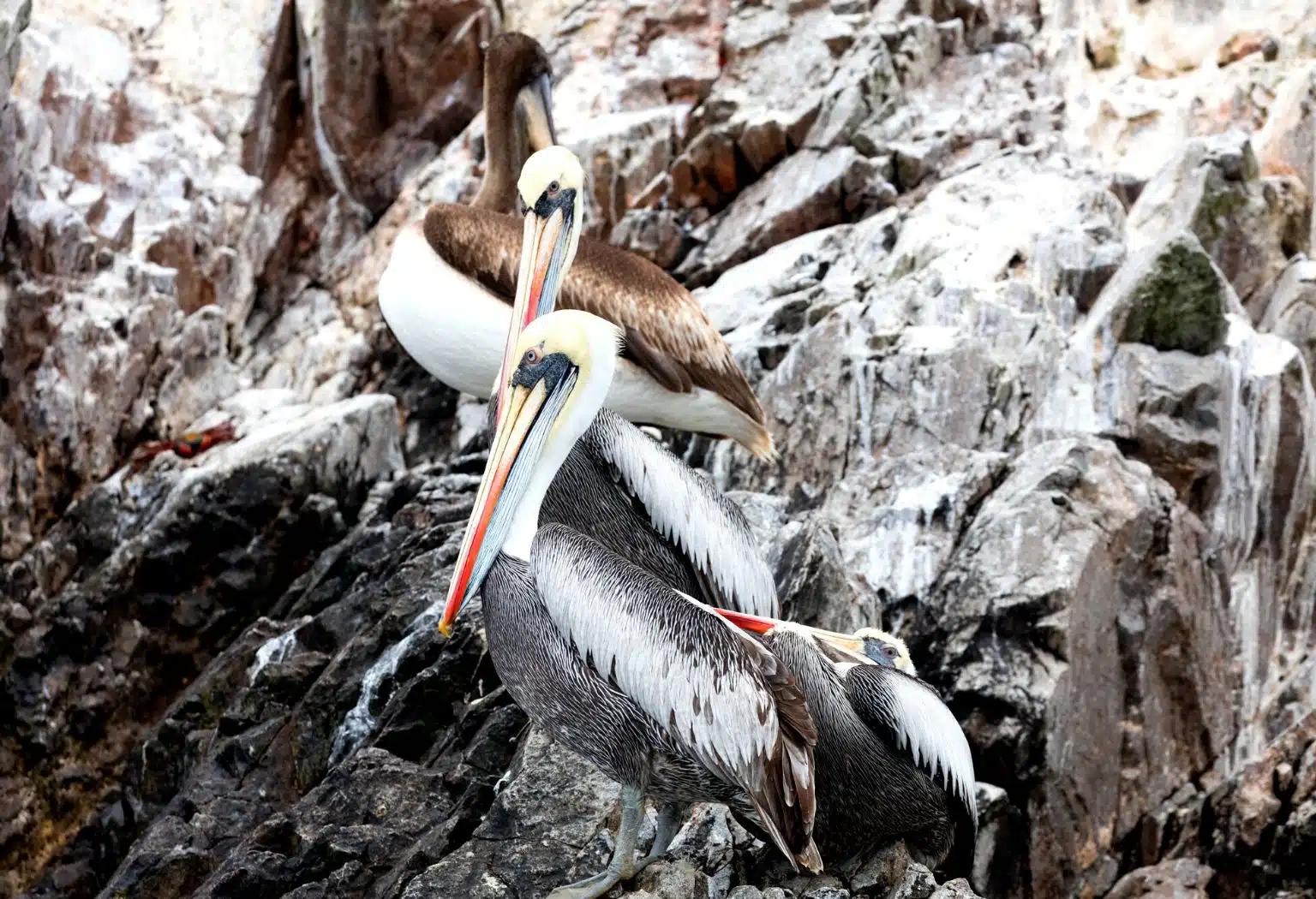 Tour Peru and Machu Picchu 8 days 7 Nights