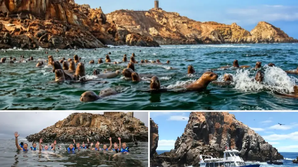 Foreign and local tourists enjoying the Palomino Islands