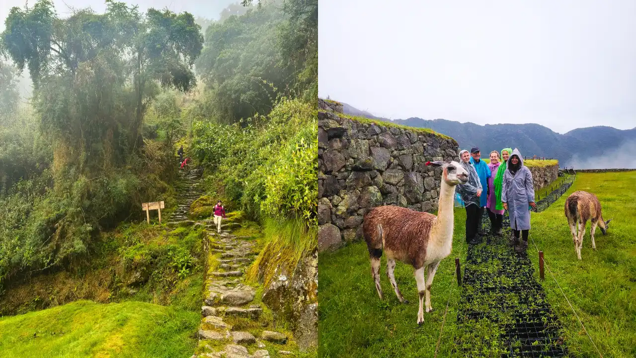 luxury Inca Trail weather llama Machu Picchu 