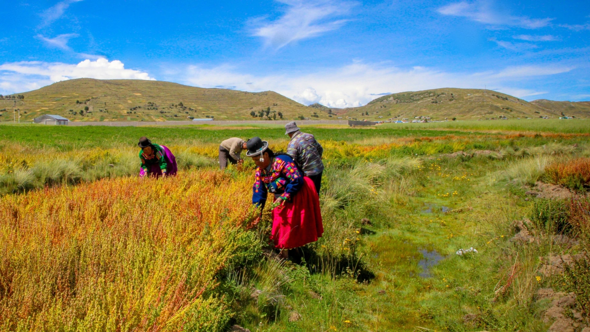 capital of waru waru