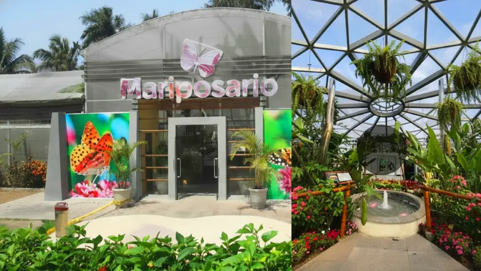 Cover and interior photo of the butterfly house at the Magic Water Circuit