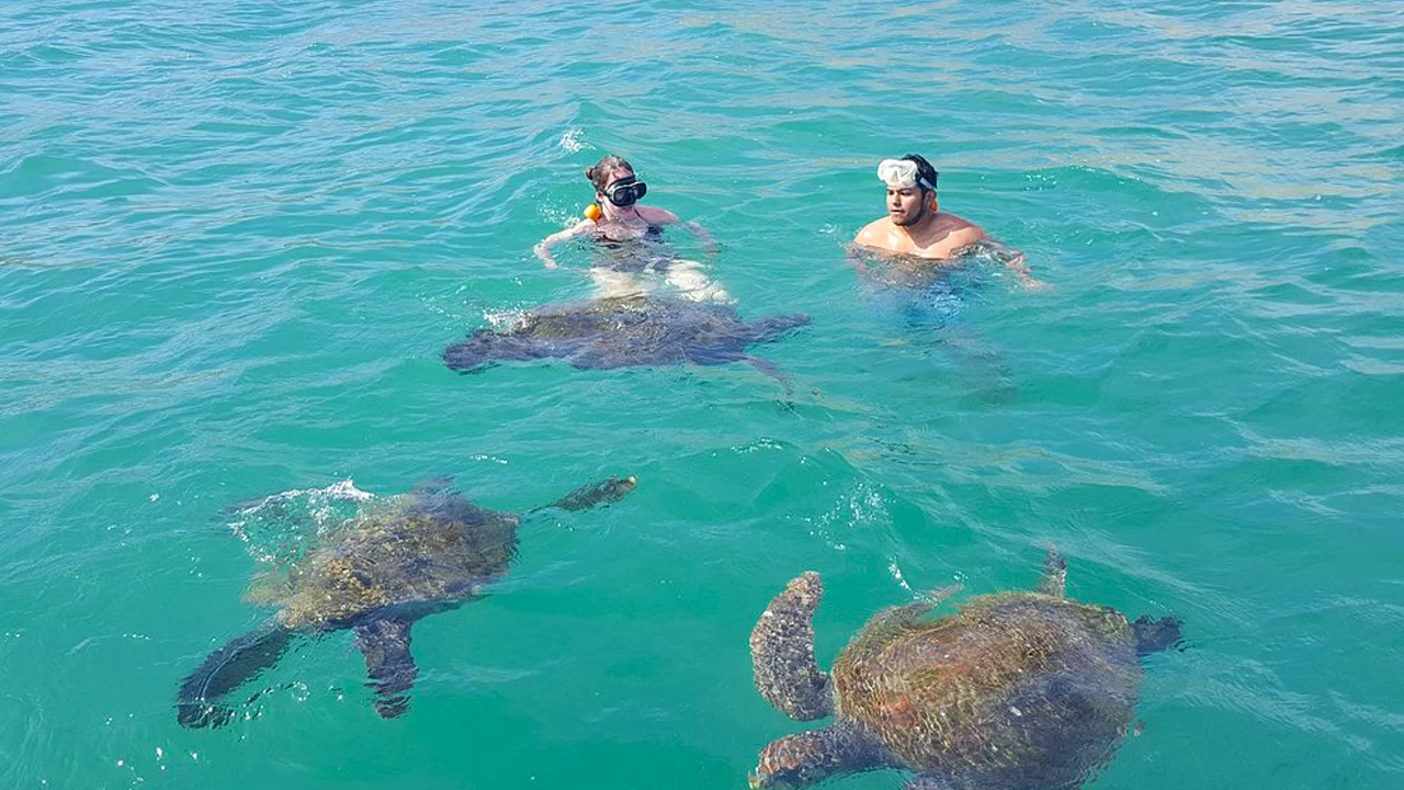 El ñuro beach in Piura