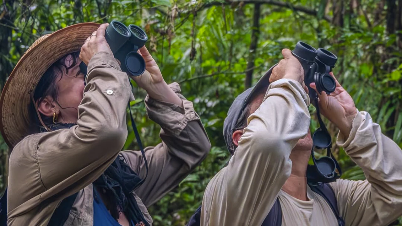 Observador de aves registra especies durante el Global Big Day 2026