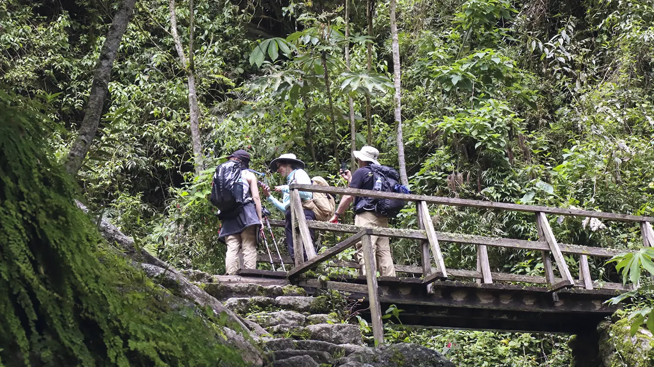 Hikers walking the Inca Trail surrounded by mountains