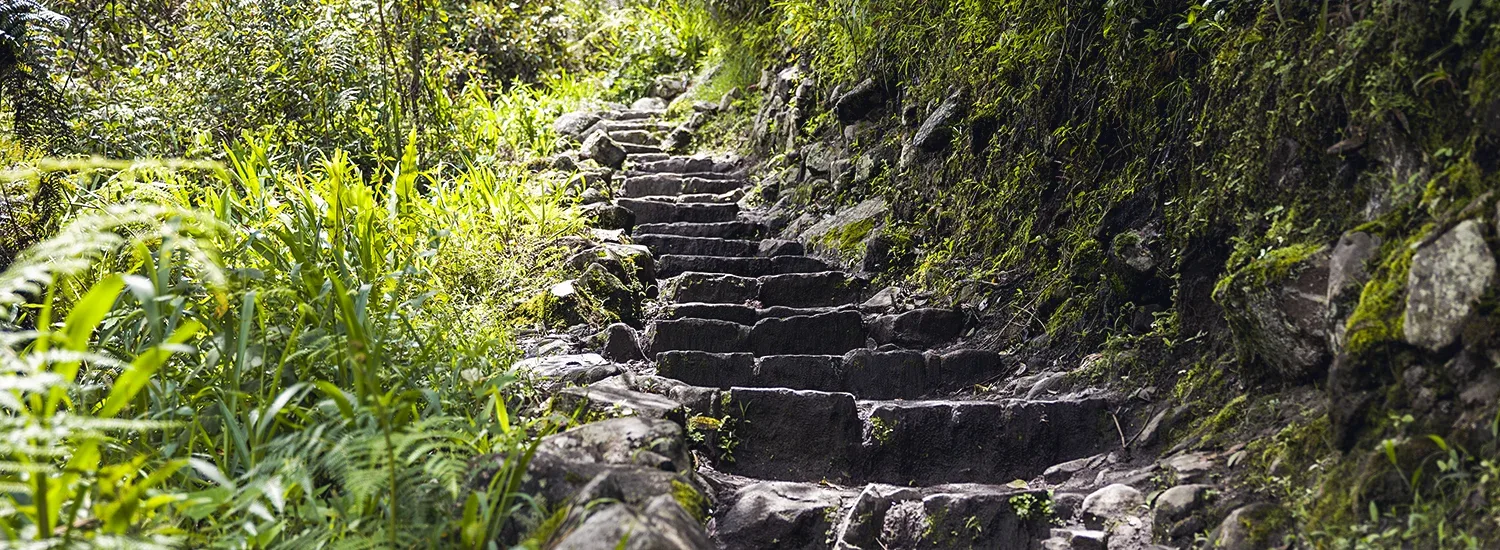 Machu Picchu Mountain section of the Inca Trail on the way to Machu Picchu.
