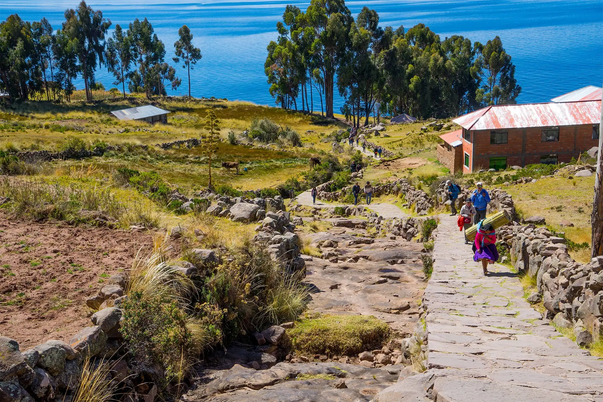 lake titikaka Taquile