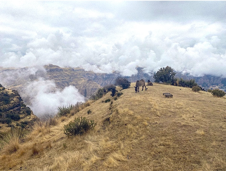 landscape-around-waqrapukara-cusco-peru