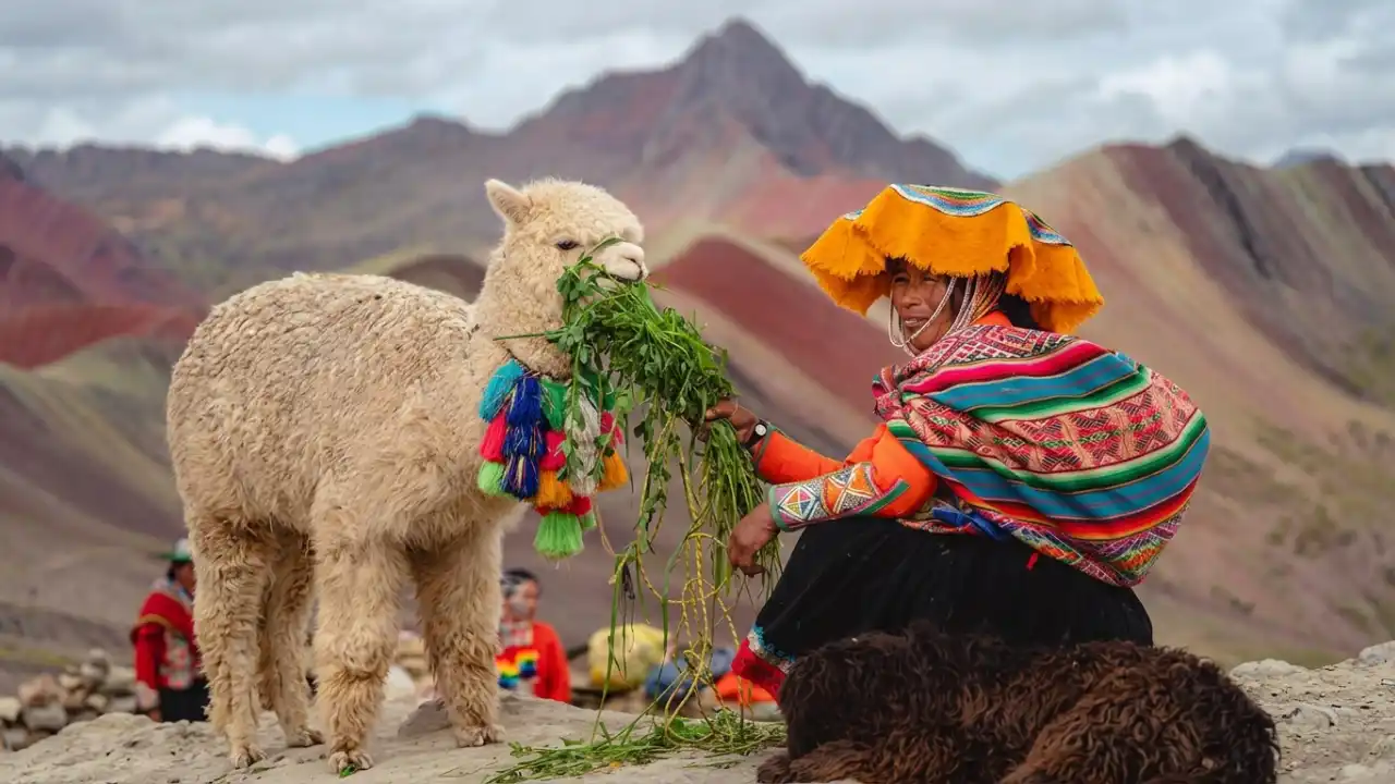 llama Rainbow Mountain Cusco