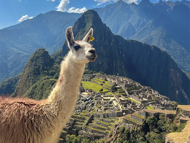 machu-picchu-private-guided-tour2
