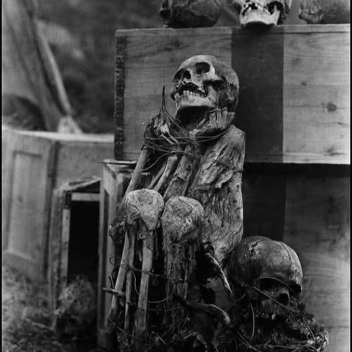 mummies found at Machu Picchu