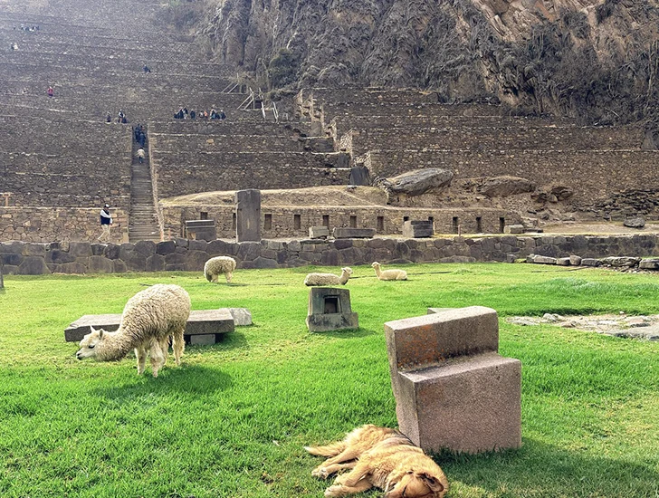 ollantaytambo-archaeological-site-route-to-machu-picchu