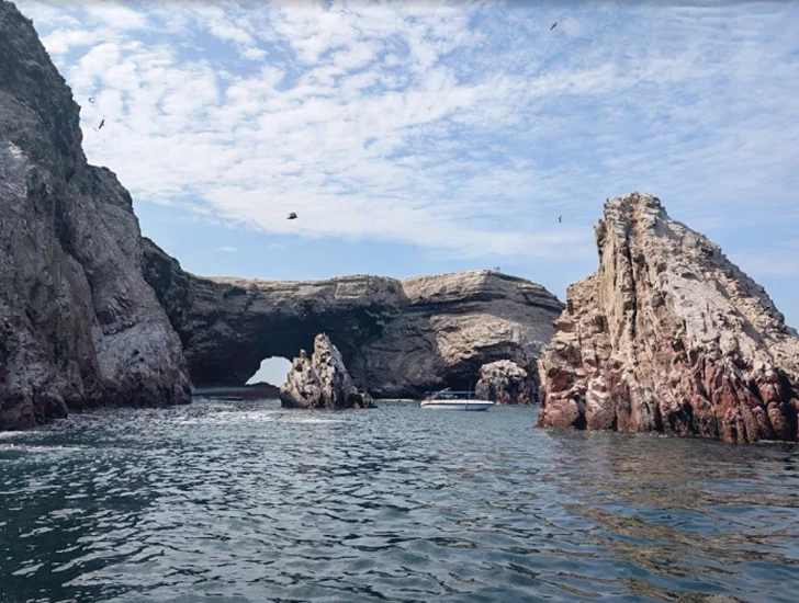 paracas-islands-national-reserve-tour