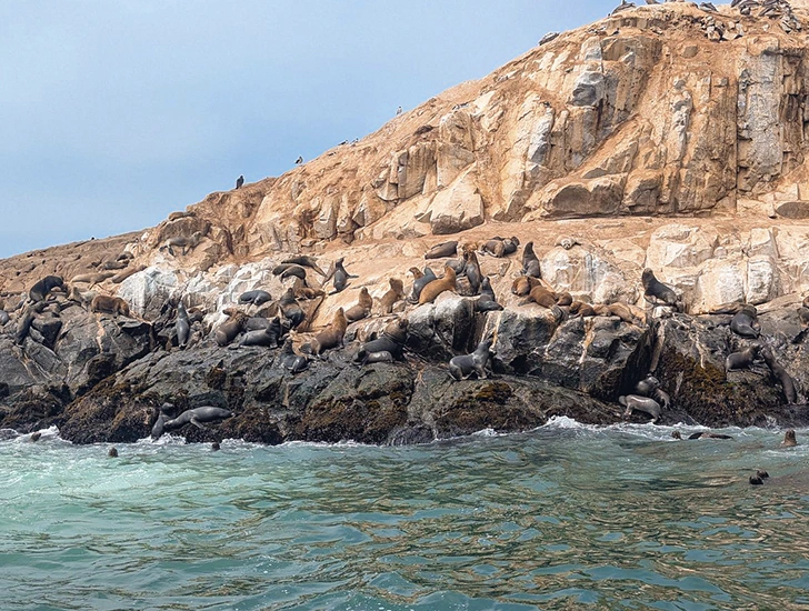 paracas-reserva-nacional-islas-ballestas