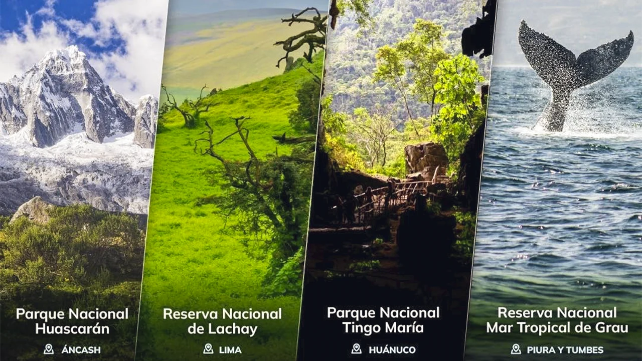 Four protected natural areas of Peru compete in the People’s Choice Award 2025