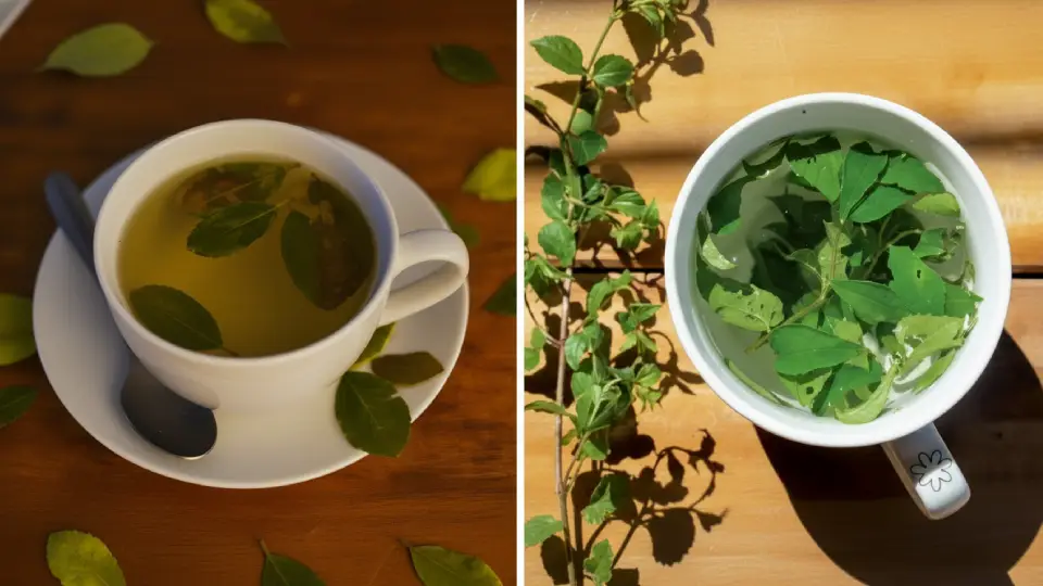 Coca tea and muña tea to help prevent altitude sickness in the Sacred Valley of the Incas