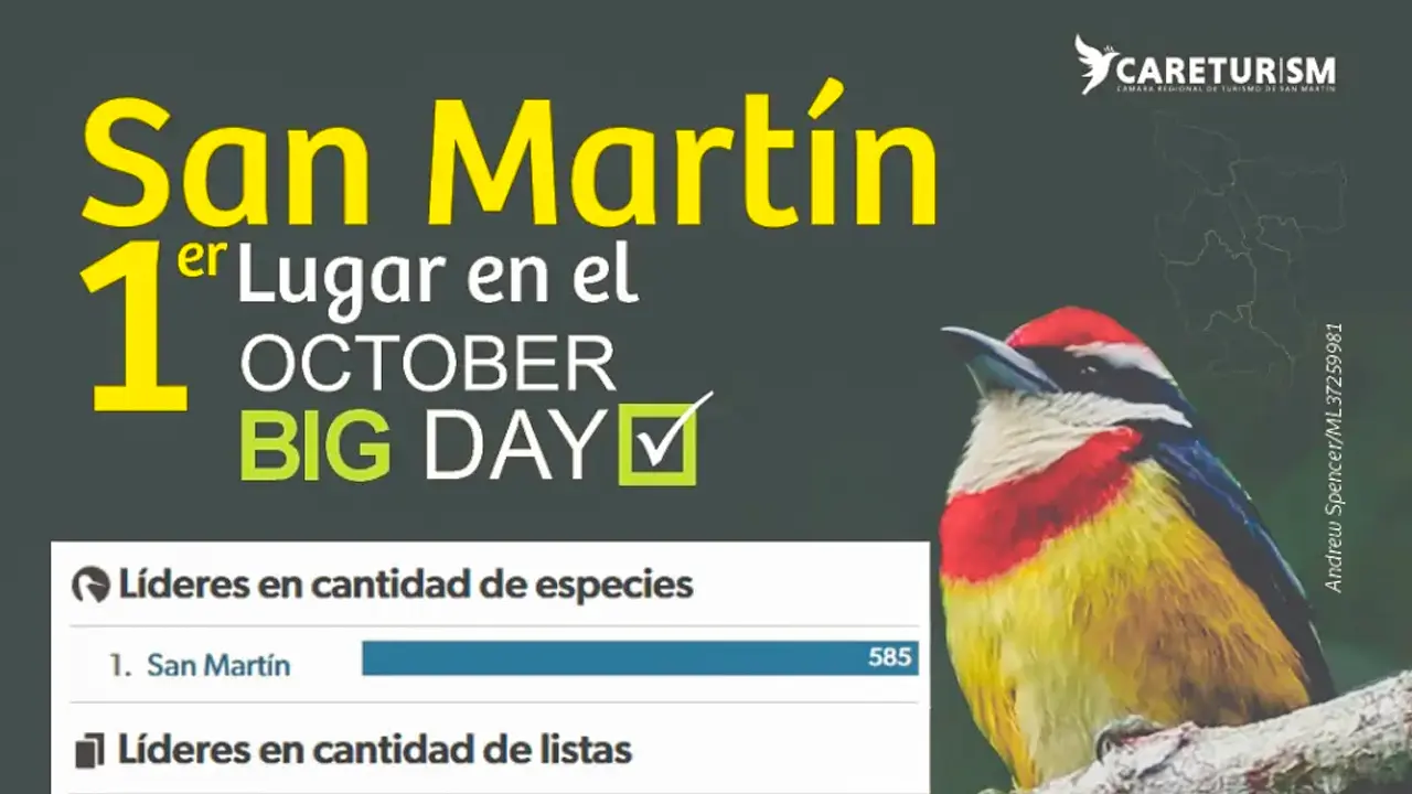Birdwatchers in San Martín during the October Big Day 2025