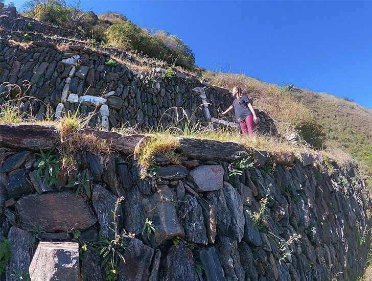 tourist-with-llamas-at-choquequirao-terraces-peru