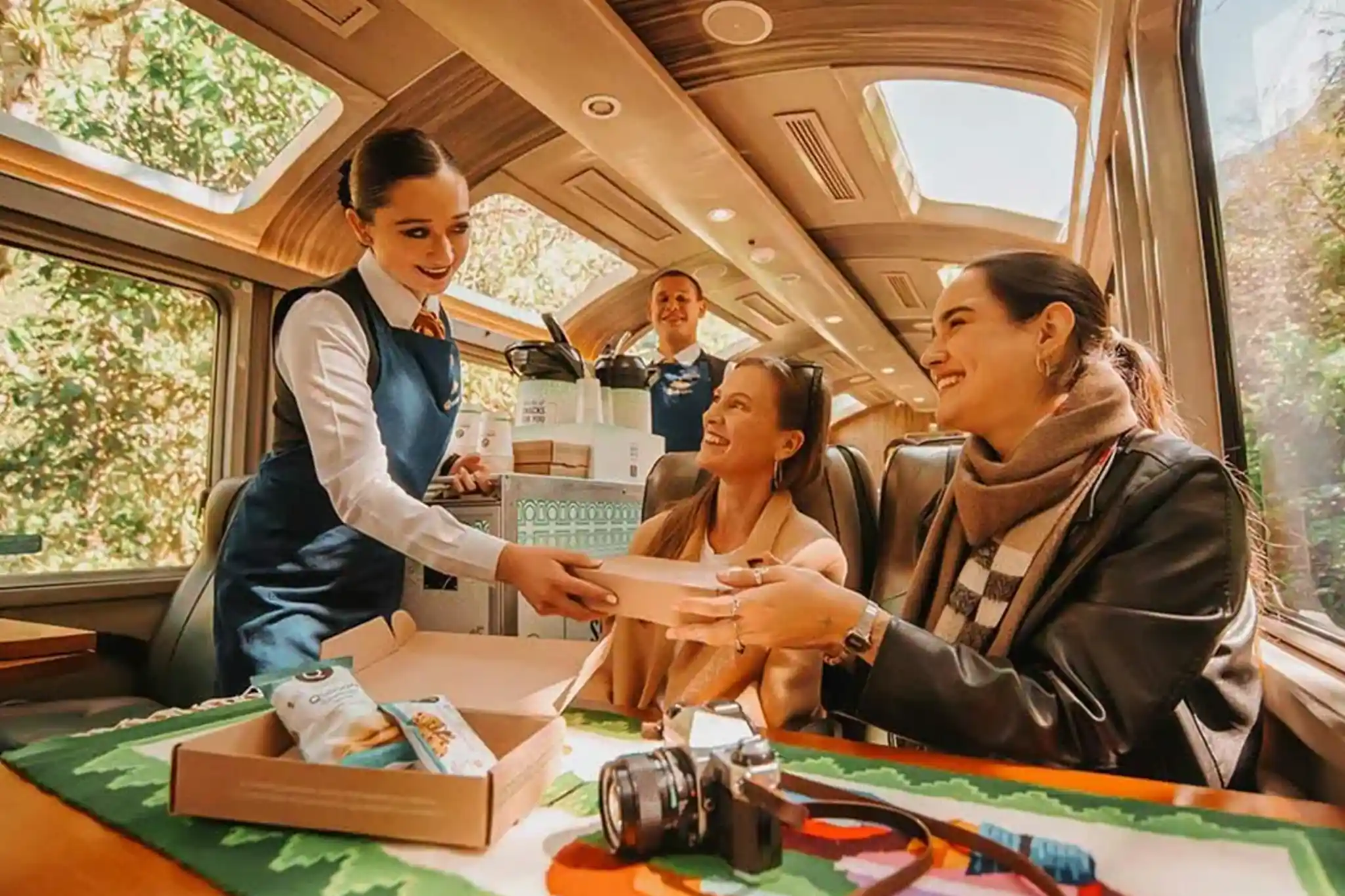 vistadome-observatory-train